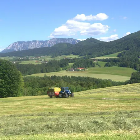 Familie Edtmayer - Rindbergerhof Apartment Innerschwand