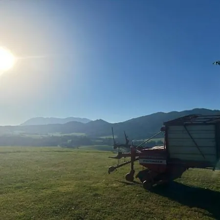 Mondseeview - Familie Edtmayer * Innerschwand